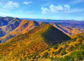 Santa Cruz county